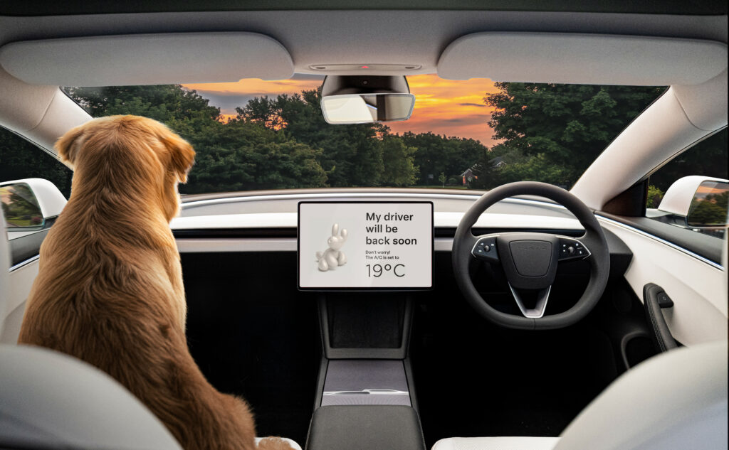 Interior view of Tesla's new Model 3 dog sitting in ambient temperature 