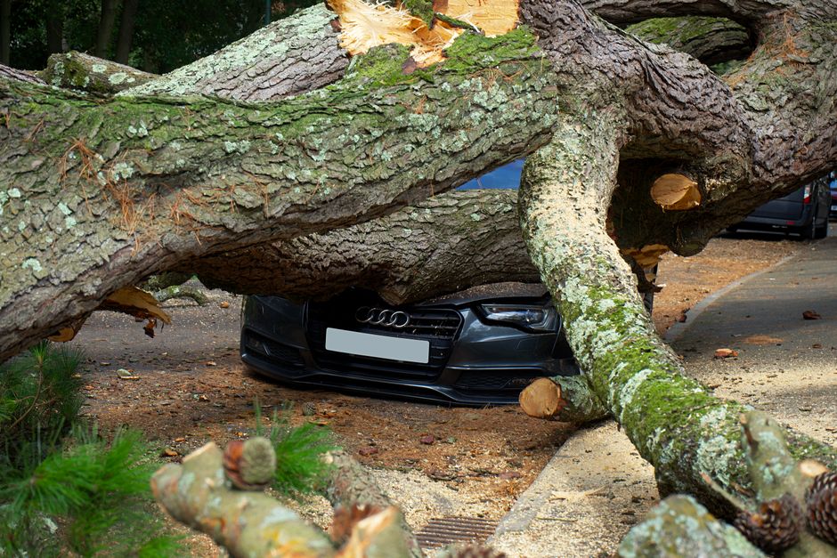 GAP Insurance Explained: Do You Need It on a Lease?