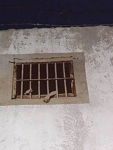 Unbelievable dangerous driver punishments around the world!