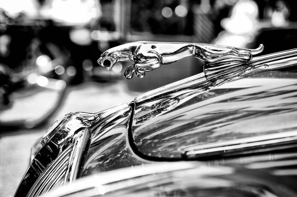 Jaguar’s Rebranding: A Commercial Masterstroke or a Woke Mistake?