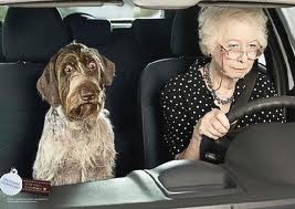 Do You Know Any Scary Drivers?