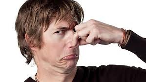 What Car Smell Drives You Mad?